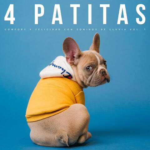 4 Patitas: Confort Y Felicidad Con Sonidos De Lluvia Vol. 1