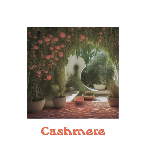 Cashmere