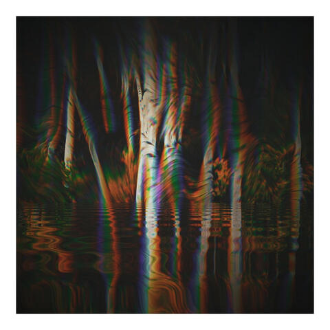 Lost in the Woods