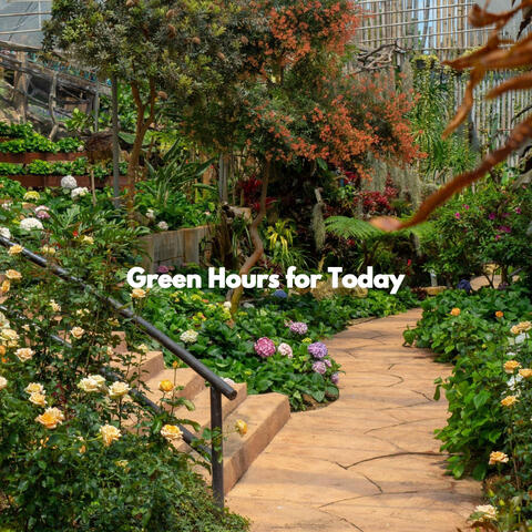 Green Hours for Today