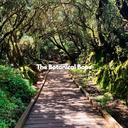 Number One Ambience for Golden Ages