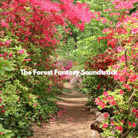 The Forest Fantasy Soundtrack