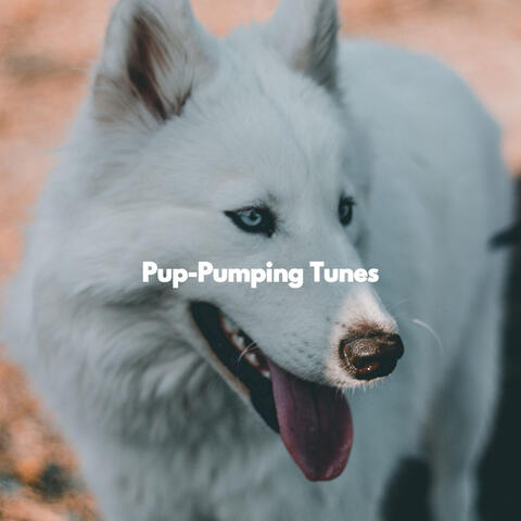 Pup-Pumping Tunes