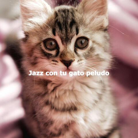 Jazz con tu gato peludo