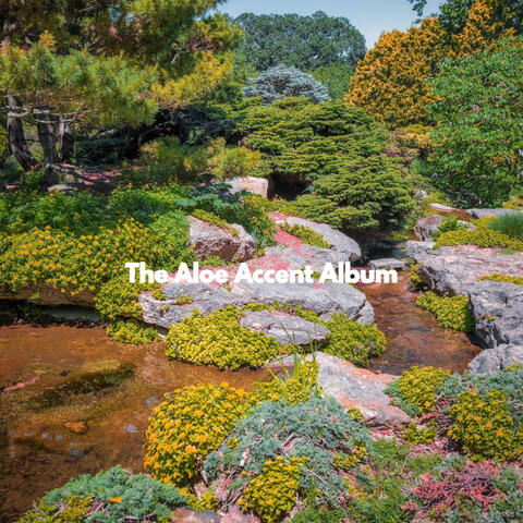 The Aloe Accent Album