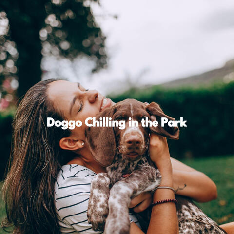 Doggo Chilling in the Park