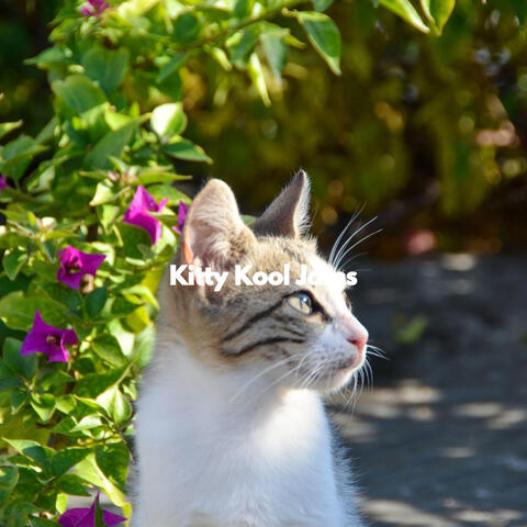 Kitty Kool Jams