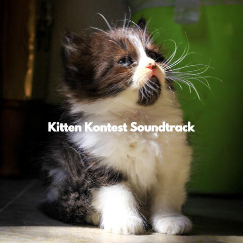 Kitten Kontest Soundtrack