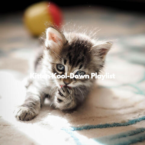 Kitten Kool-Down Playlist