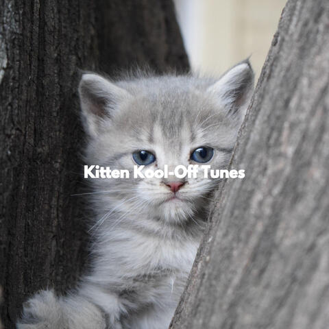 Kitten Kool-Off Tunes