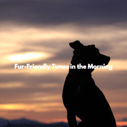 Energetic Moods for Nighthawks