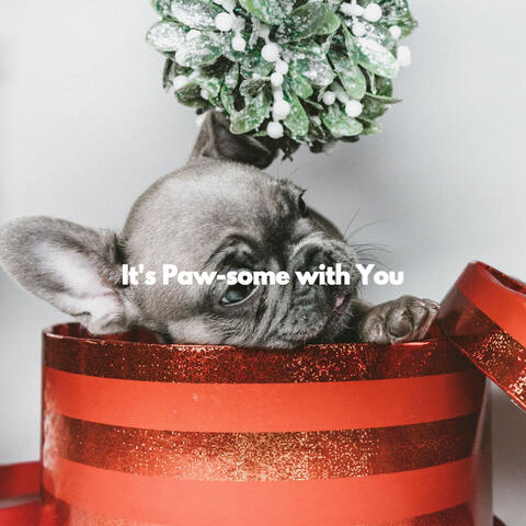 It's Paw-some with You
