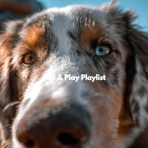 Pup & Play Playlist