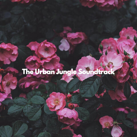 The Urban Jungle Soundtrack
