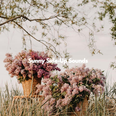 Sunny Side-Up Sounds