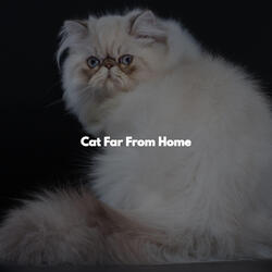 Mental Health Days (Feelings)