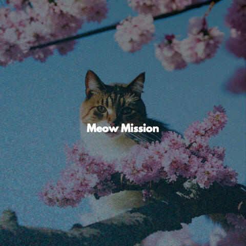 Meow Mission