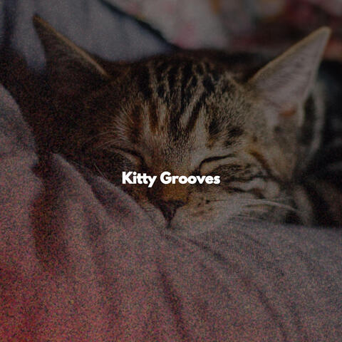 Kitty Grooves
