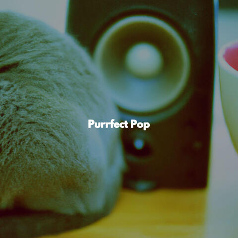 Purrfect Pop
