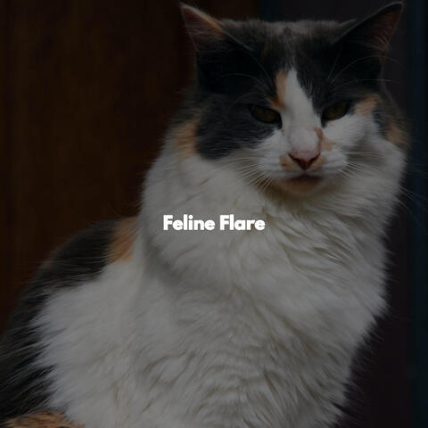 Feline Flare