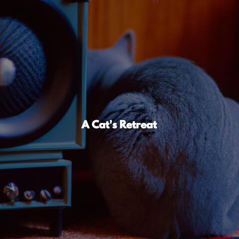 A Cat's Retreat