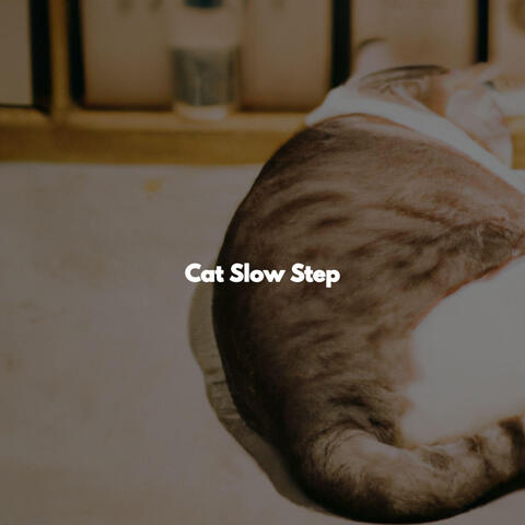 Cat Slow Step