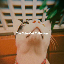 Relaxed (Relaxing Routines)