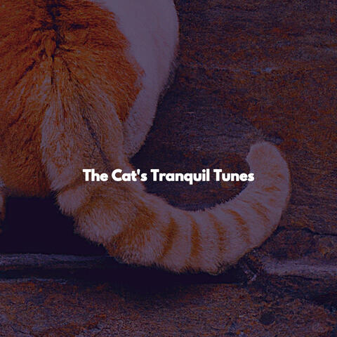 The Cat's Tranquil Tunes