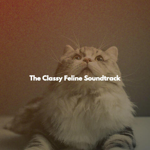 The Classy Feline Soundtrack