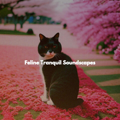 Feline Tranquil Soundscapes