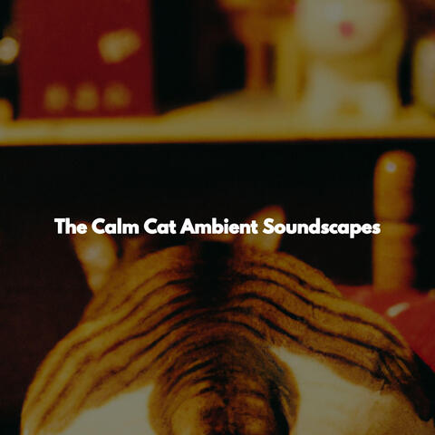 The Calm Cat Ambient Soundscapes