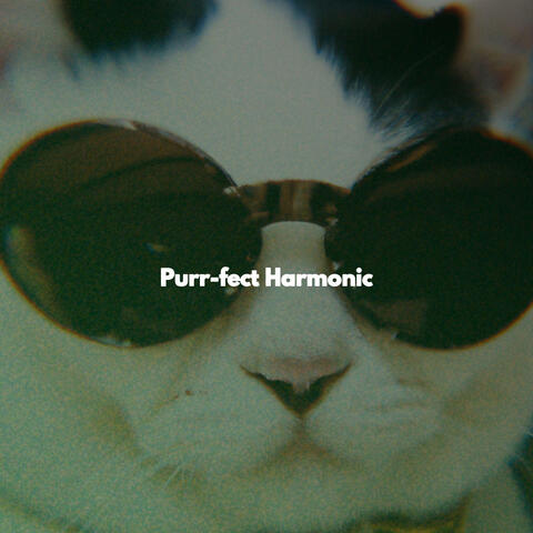 Purr-fect Harmonic