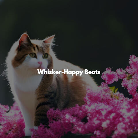 Whisker-Happy Beats