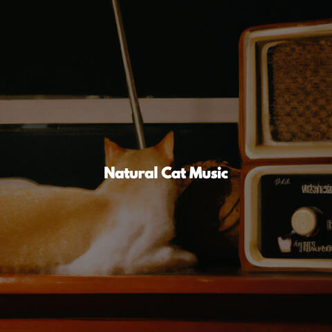 Natural Cat Music