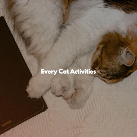 Every Cat Activities