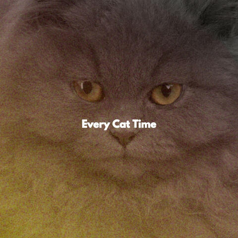 Every Cat Time