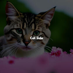 Relaxing Routines - Feelings