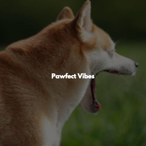Pawfect Vibes