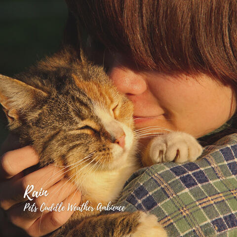 Rain: Pets Cuddle Weather Ambience