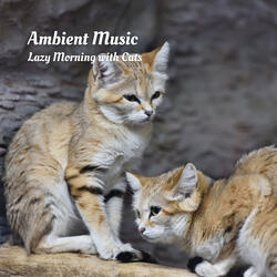Tranquil Ambient Music to Alleviate Stress