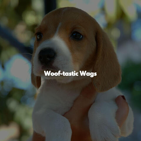 Woof-tastic Wags