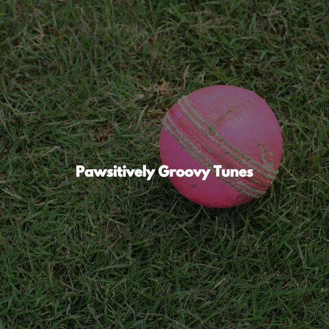 Pawsitively Groovy Tunes