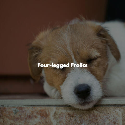 Four-legged Frolics