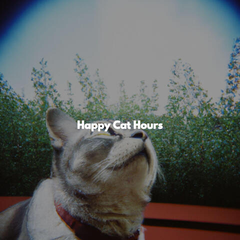 Happy Cat Hours