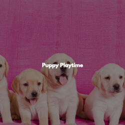 Opulent December Moments