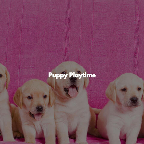 Puppy Playtime