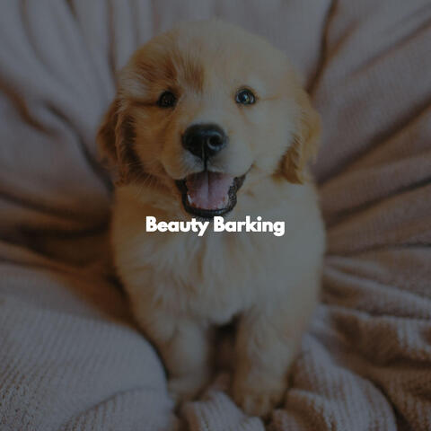 Beauty Barking