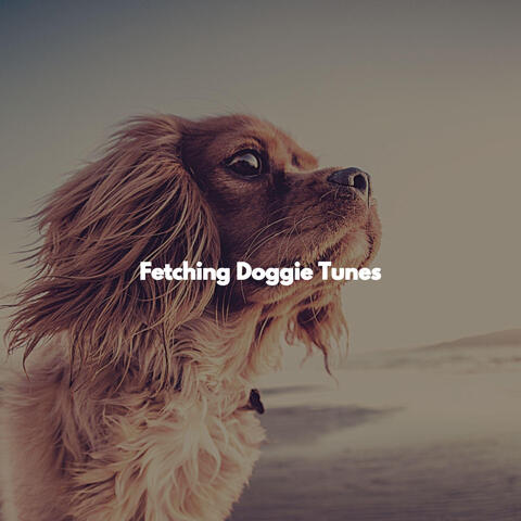 Fetching Doggie Tunes