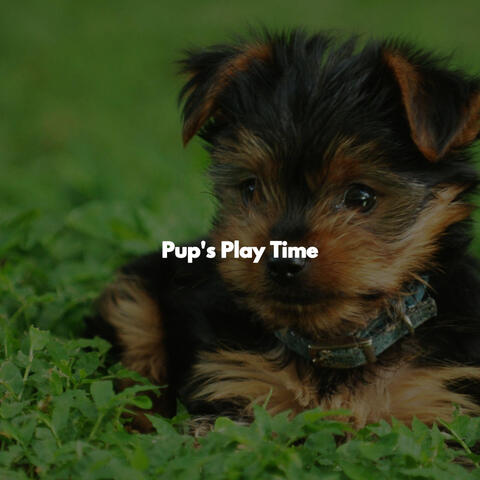 Pup's Play Time
