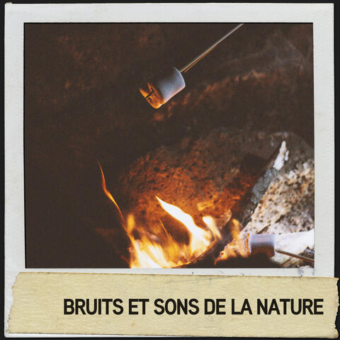 Bruits et sons de la nature : chuchotement de feu de camp
